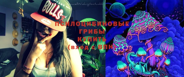 Альфа ПВП Белокуриха